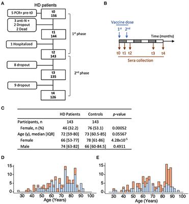 Longitudinal Analysis of Antibody Responses to the mRNA BNT162b2 Vaccine in Patients Undergoing Maintenance Hemodialysis: A 6-Month Follow-Up